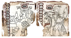 Codex maya