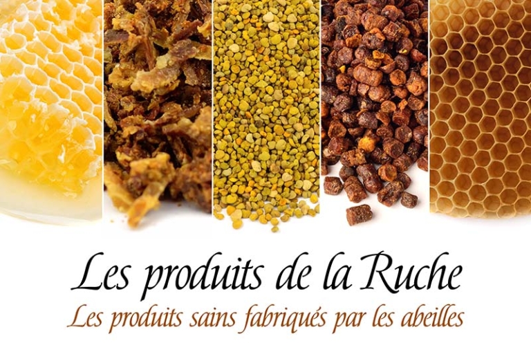 Les produits de la ruche fabriqués par les abeilles : miel, propolis, pollen, pain d'abeille, cire