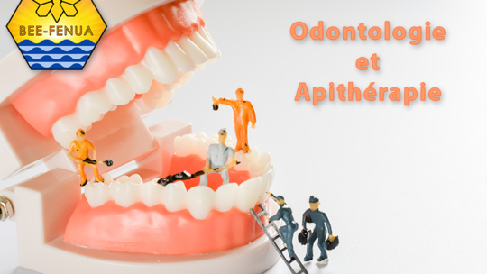 Apithérapie et odontologie