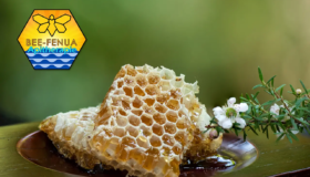 Rayon de miel de manuka et fleurs de manuka