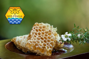 Rayon de miel de manuka et fleurs de manuka