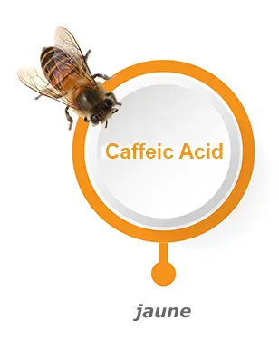 Liens vers acide caféique