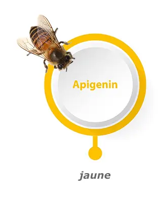 Liens vers Apigénine