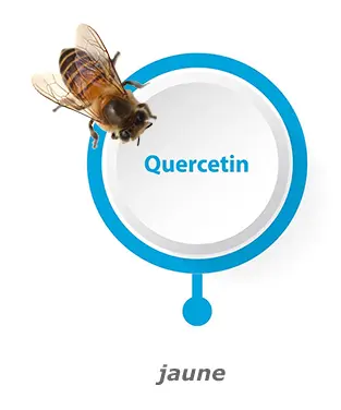 Liens vers Quercetine