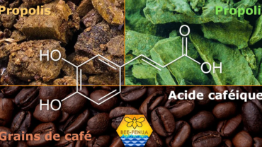Formule chimique acide caféique et les propolis