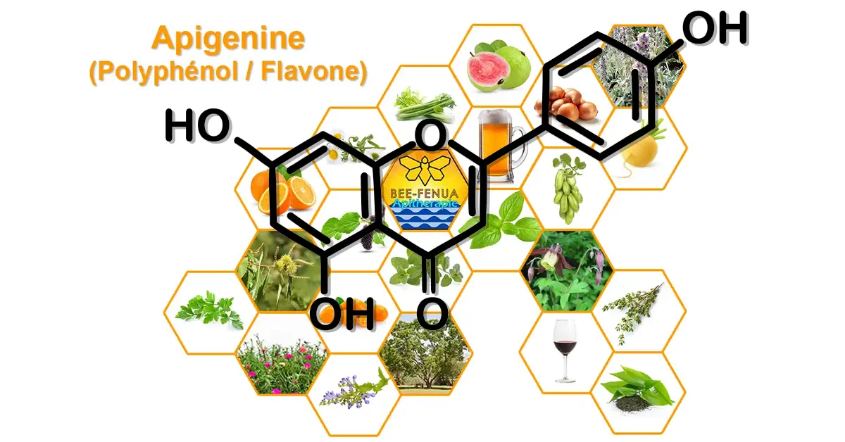 Formule chimique de l'apigenine