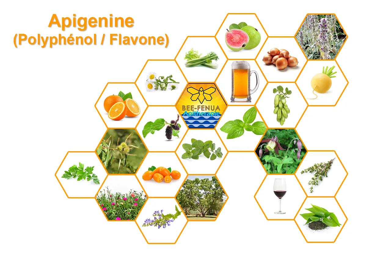 Les sources florales de l'Apigenine