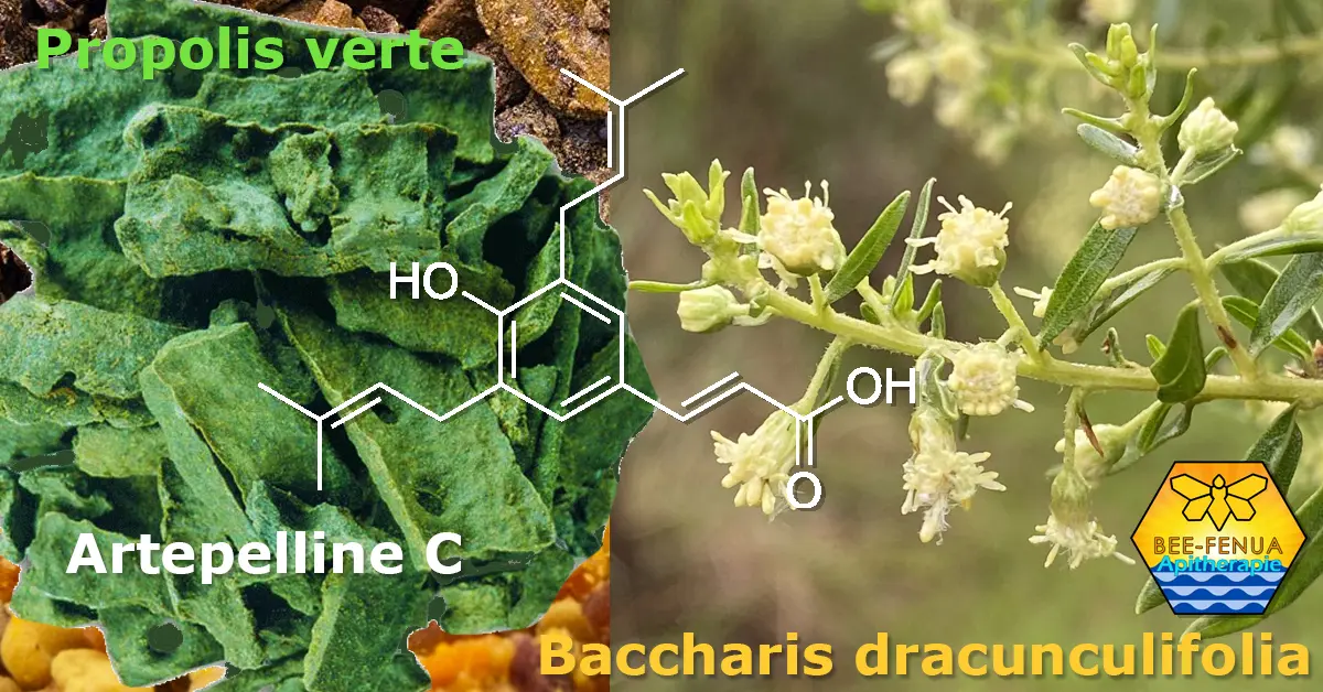 formule chimique de l'artepelline C