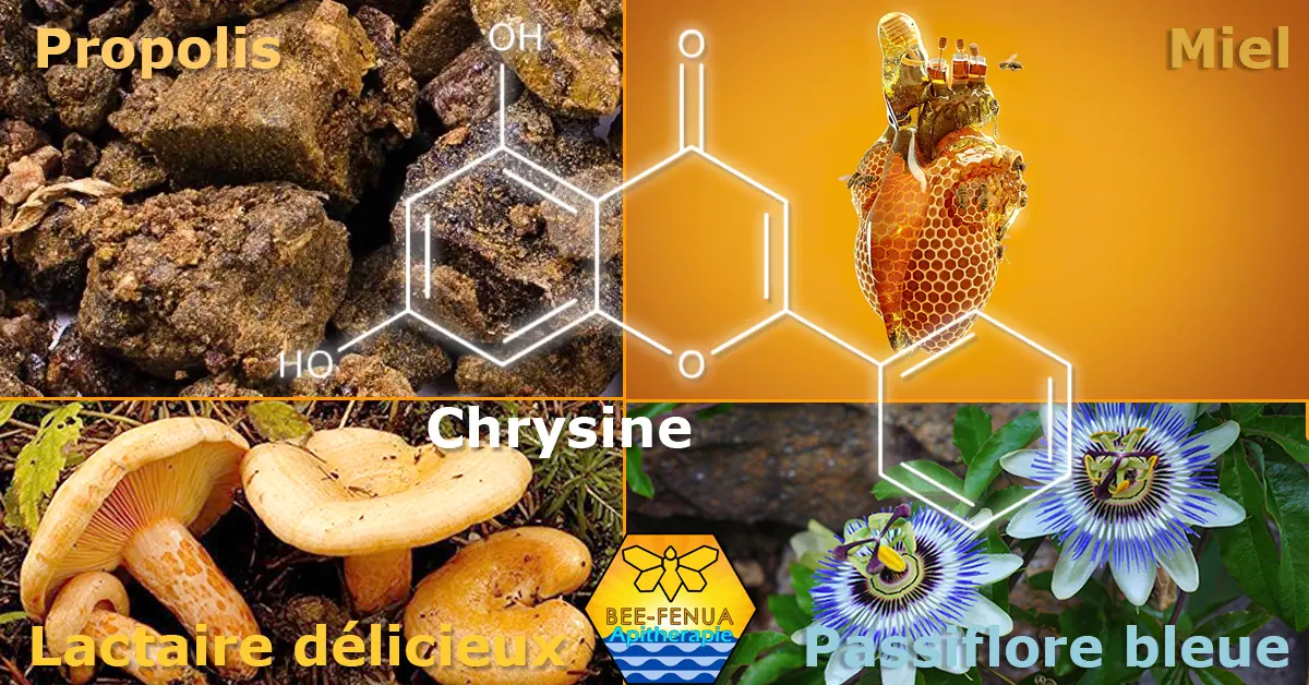 Formule chimique de la Chrysine