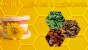 Les trois propolis en dentisterie