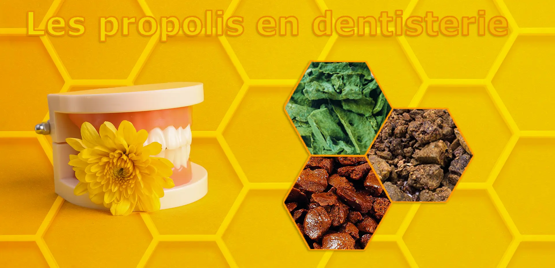 Les trois propolis en dentisterie