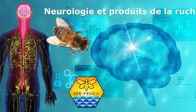 Produits de la ruche et neurologie : apithérapie