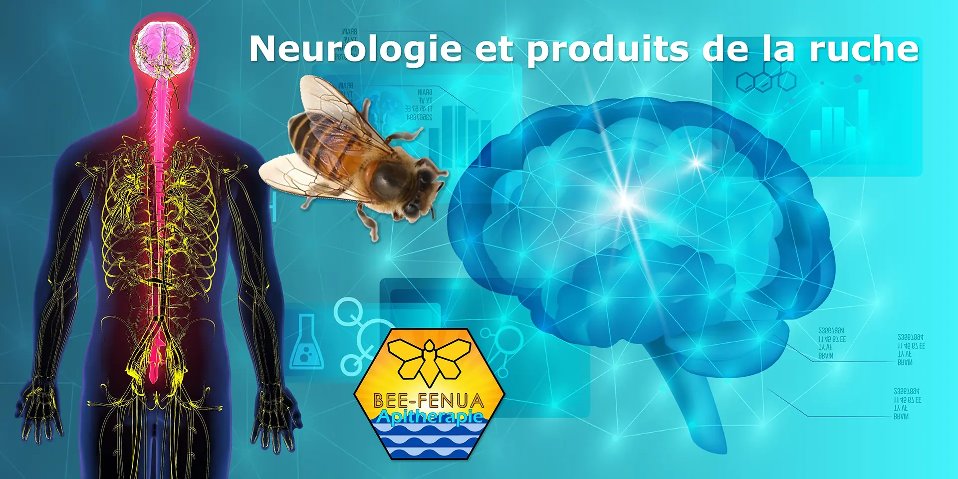 Produits de la ruche et neurologie : apithérapie