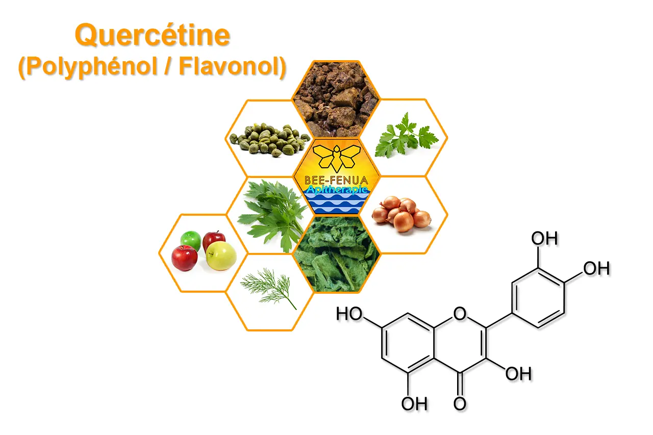 Quercétine sources florales