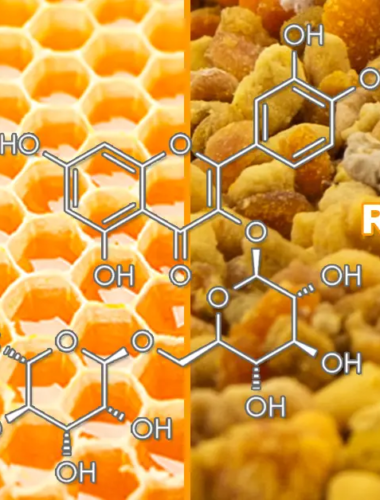 Rutine pollen et miel