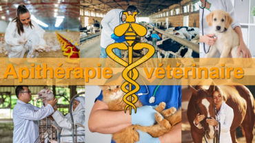 apitherapie veterinai coverre