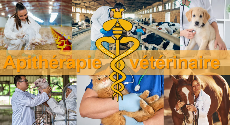 apitherapie veterinai coverre