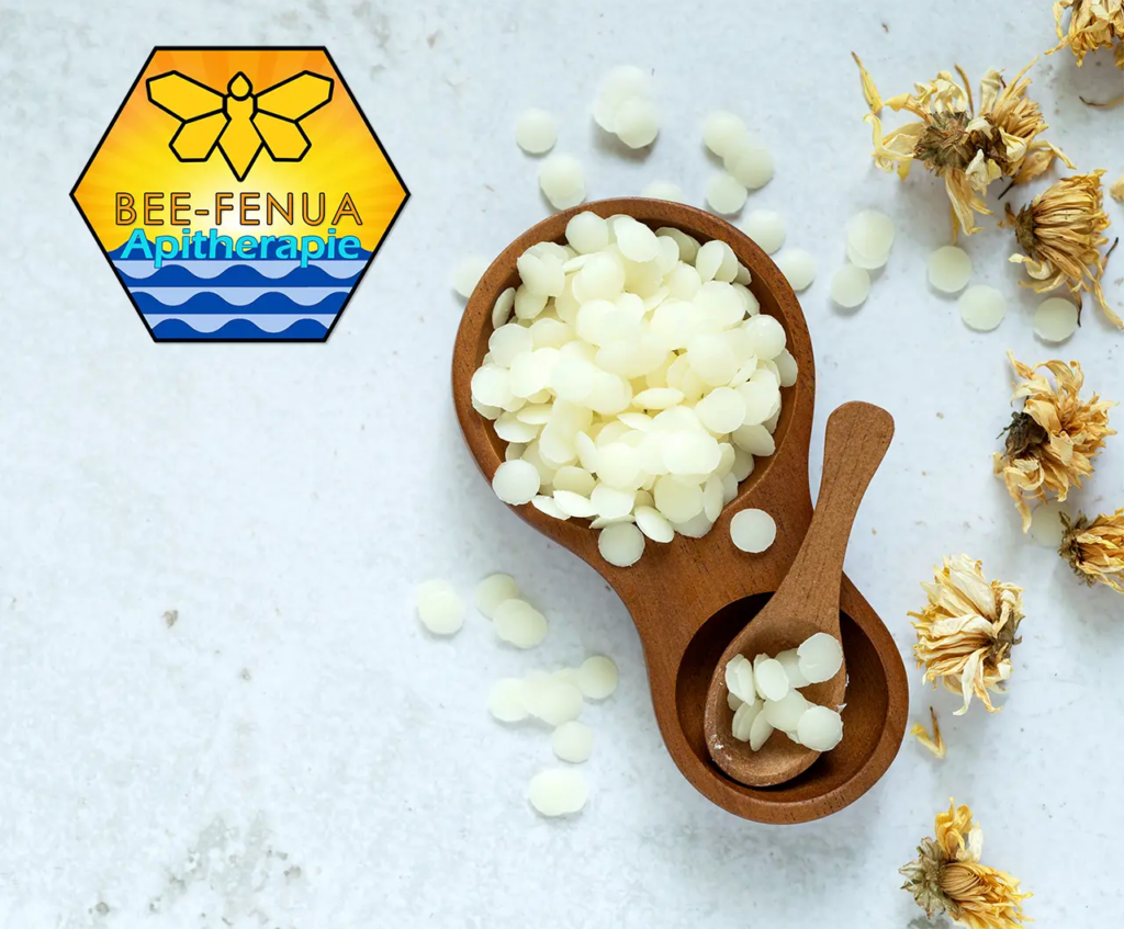 La beauté des femmes sublimée par les produits de la ruche 8 Coupelle avec cire d'abeille Cera Alba
