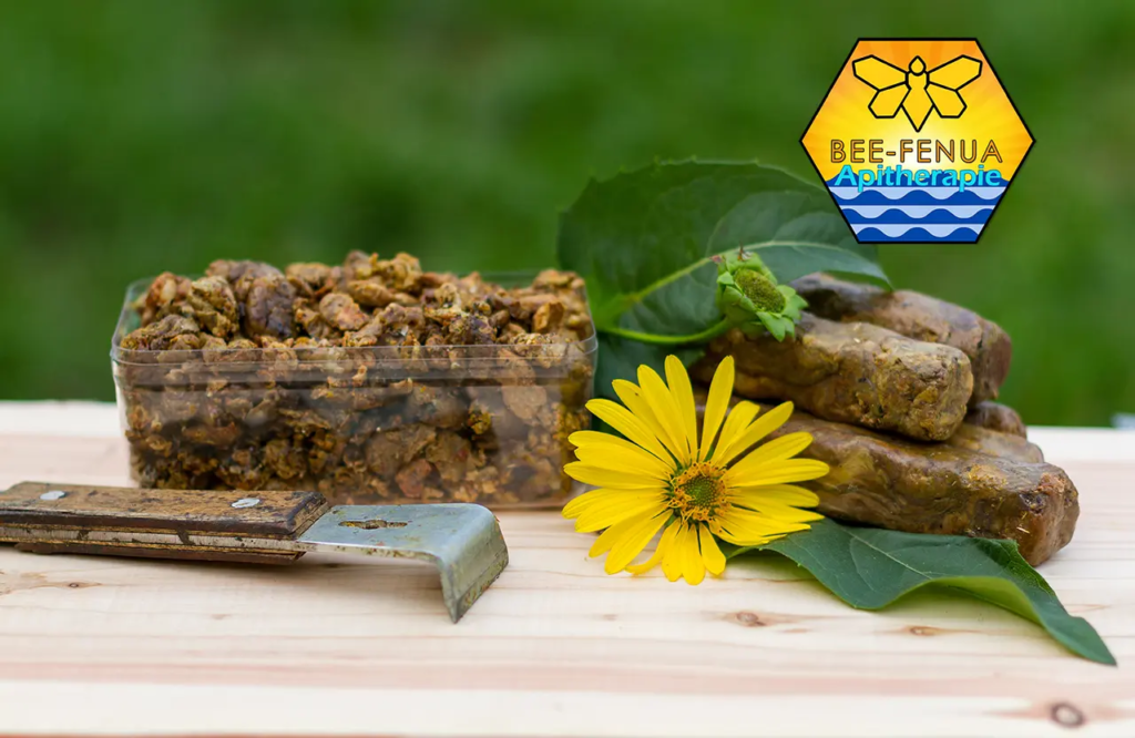 La beauté des femmes sublimée par les produits de la ruche 6 La propolis en cosmétique
